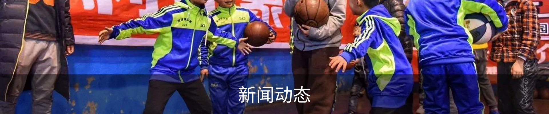 新闻动态